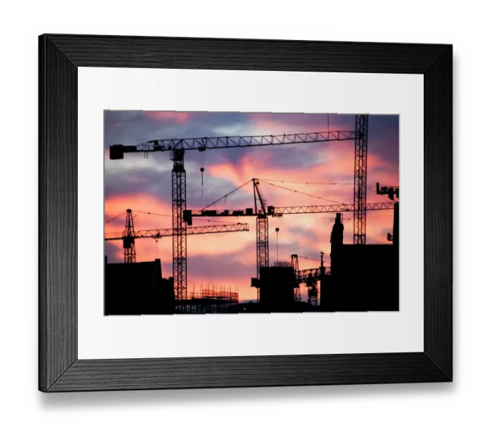 Framed Print : Cranes N071033