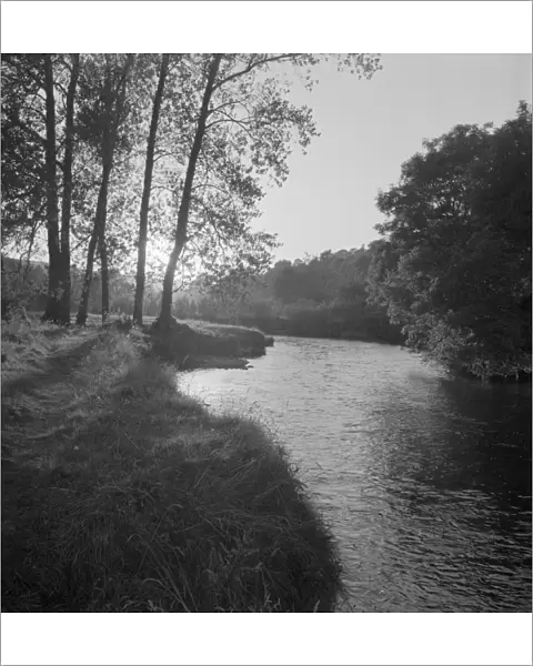 Rural river scene a079524