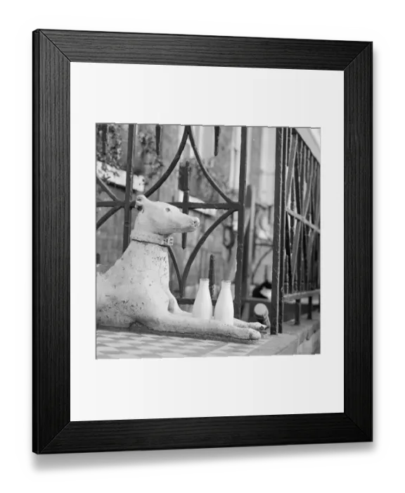 Framed Print : Stone greyhound a071577