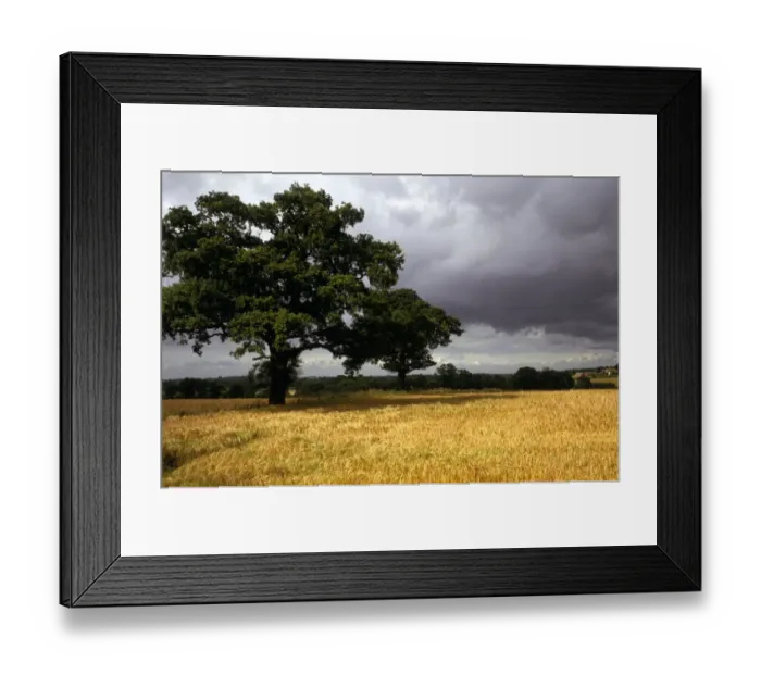 Framed Print : Blore Heath Battlefield K930399
