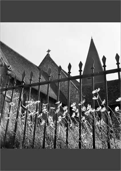 Church, railings and daisies a069857