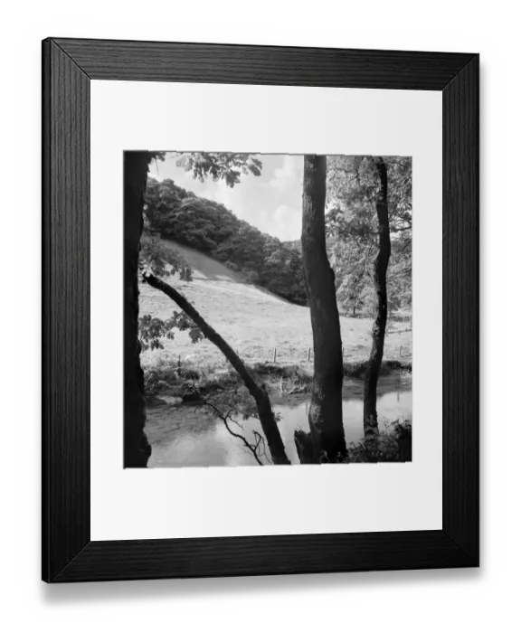 Framed Print : Wooded riverbank a074158