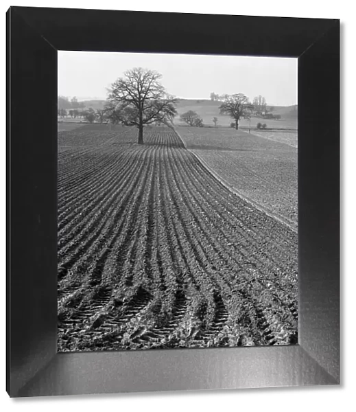Ploughed field a079453