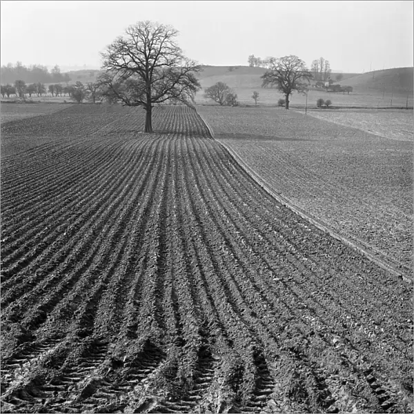 Ploughed field a079453