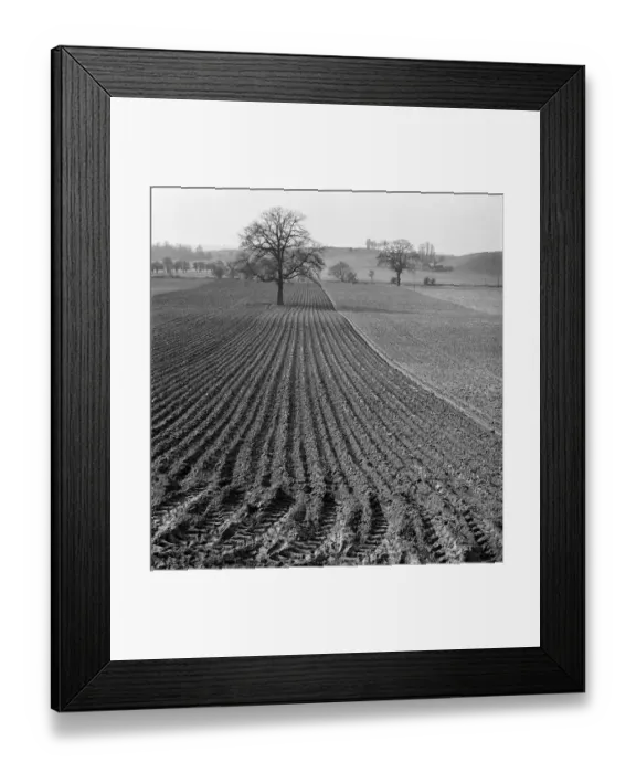 Framed Print : Ploughed field a079453