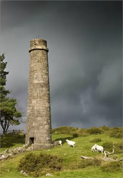 Powder Mills, Dartmoor N071128
