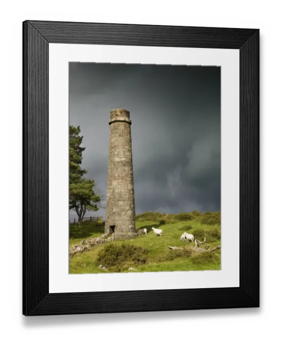 Framed Print : Powder Mills, Dartmoor N071128