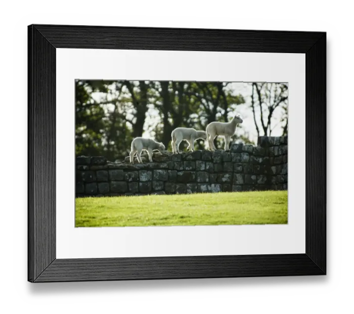 Framed Print : Hadrians Wall: Housesteads Fort N071084 Framed Print : Hadrians Wall: Housesteads Fort N071084