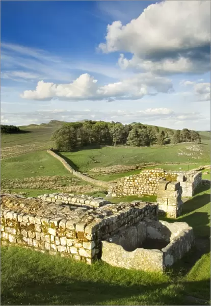 Hadrians Wall: Housesteads Fort N071086