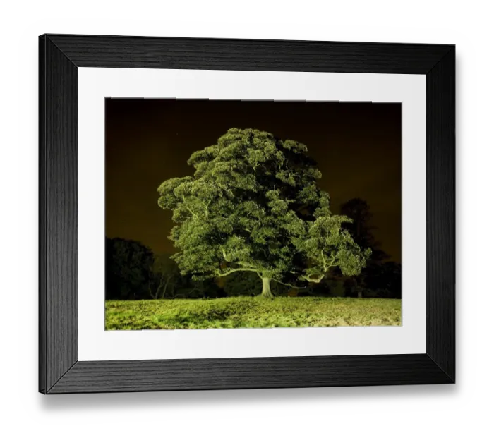 Framed Print : Tree at night N071140 Framed Print : Tree at night N071140