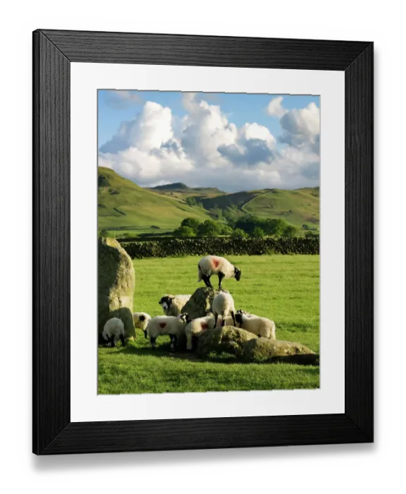 Framed Print : Castlerigg Stone Circle N071052