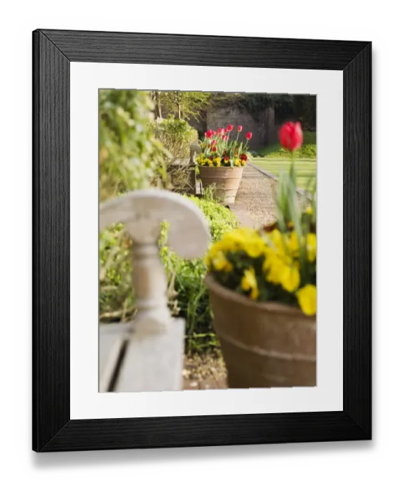 Framed Print : Walmer Castle gardens N071203
