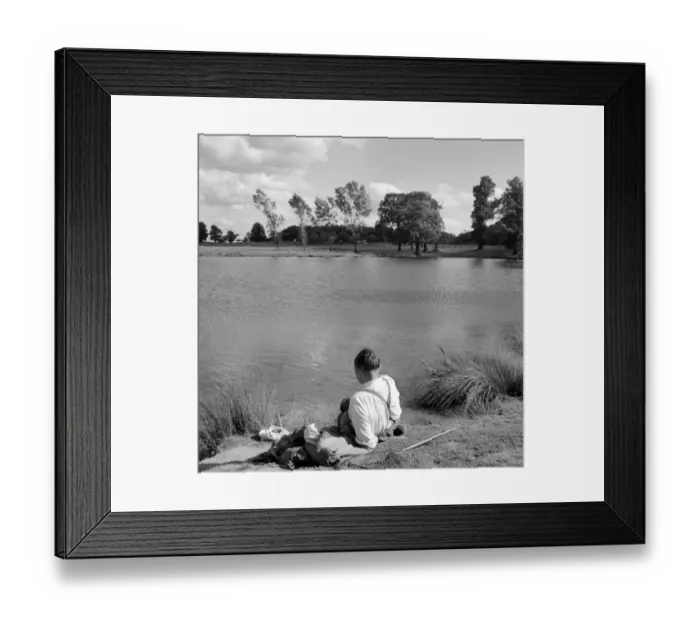 Framed Print : Richmond Park a064391