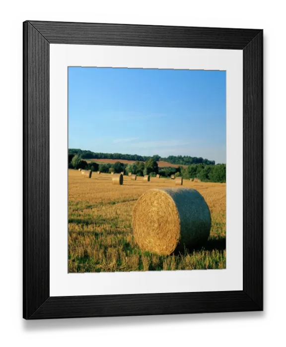 Framed Print : Haywheels J070054