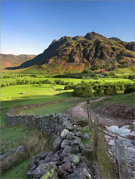 Early light on the Langdale Pikes, Cumbria N060979