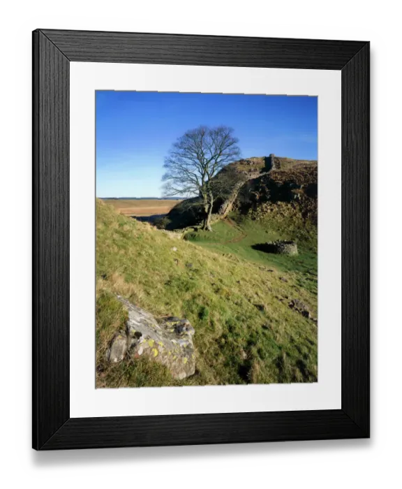 Framed Print : Hadrians Wall: Sycamore Gap J080007
