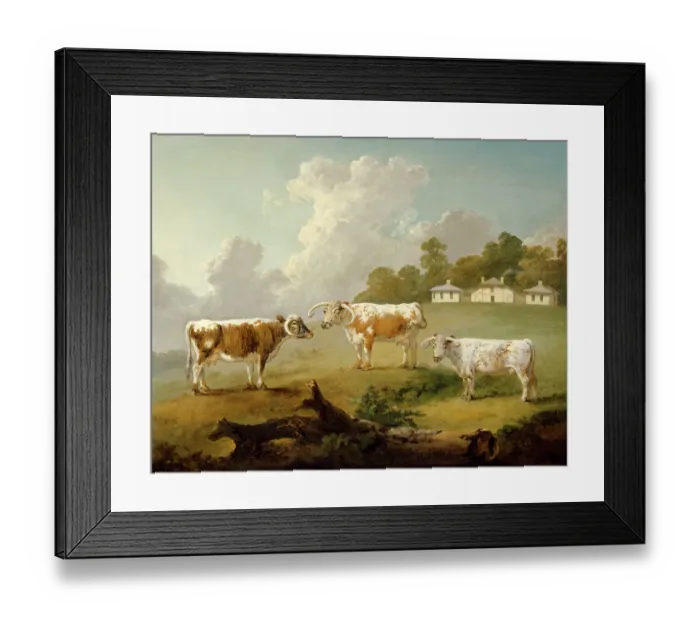 Framed Print : Ibbetson - Three long-horned cattle J990019