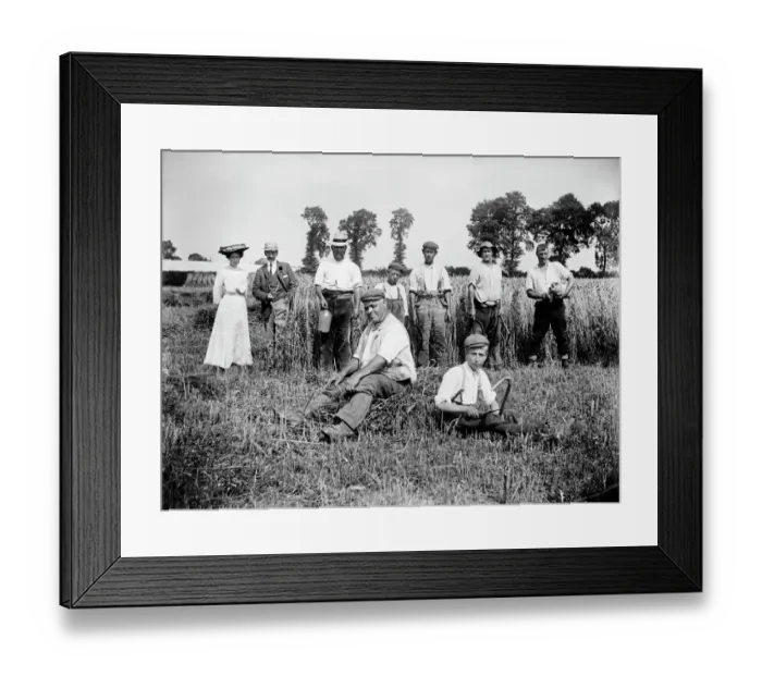 Framed Print : Harvest time, Lower Cadsden, Buckinghamshire a97_05316