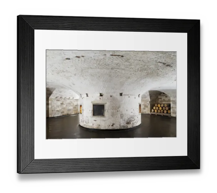 Framed Print : Hust Castle N120052