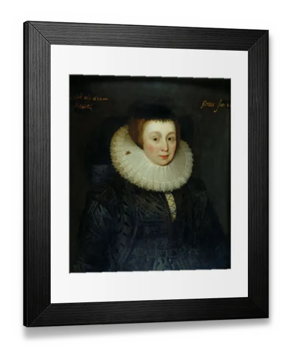 Framed Print : Lady Emily Howard J030127