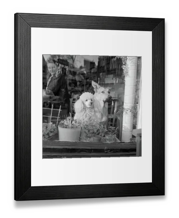 Framed Print : Cafe Window. AA071614