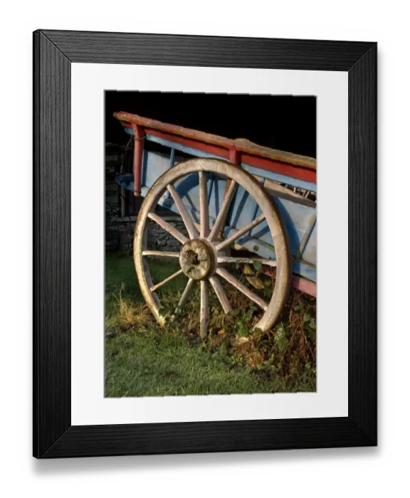 Framed Print : Cart wheel N080025