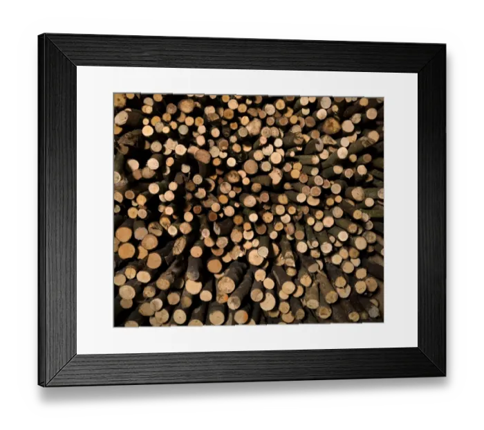 Framed Print : Wood pile N080029