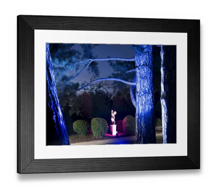 Framed Print : Brodsworth Hall N071139