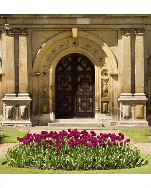 Audley End N071143