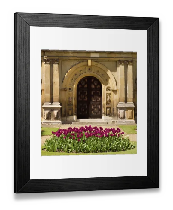 Framed Print : Audley End N071143