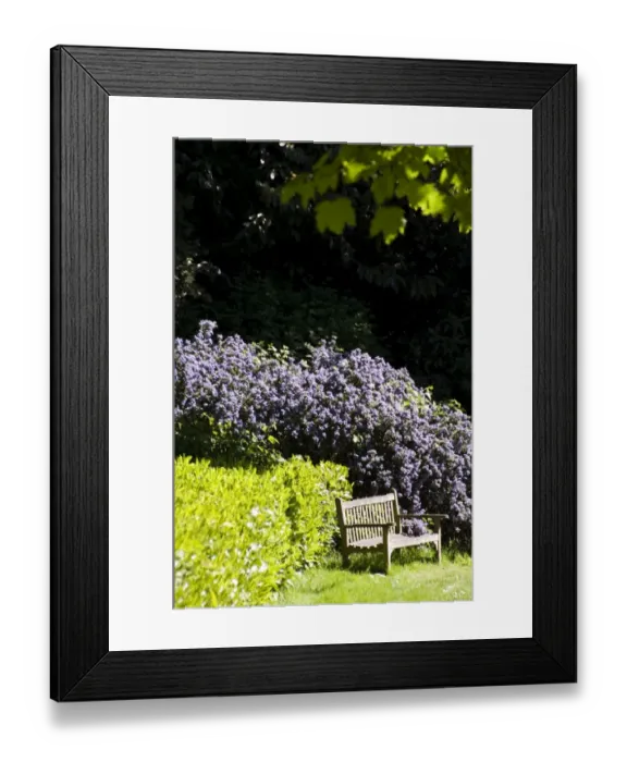 Framed Print : Eltham Palace gardens N071173
