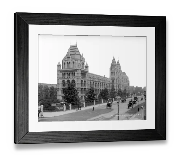 Framed Print : Natural History Museum CC97_01692