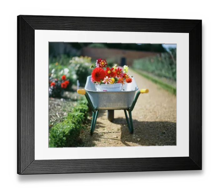 Framed Print : Gardening K031515 Framed Print : Gardening K031515