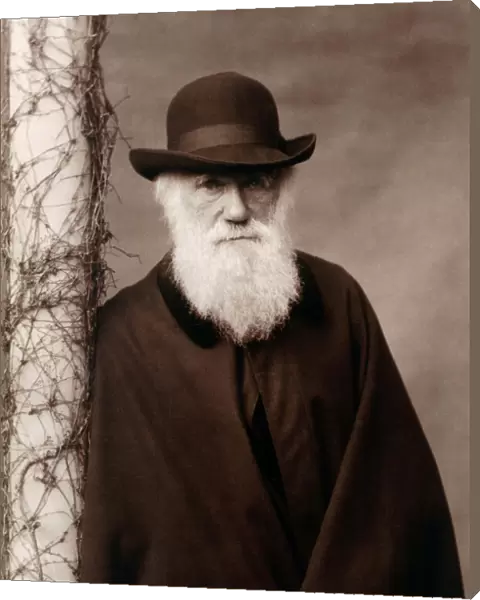 Charles Darwin K970214