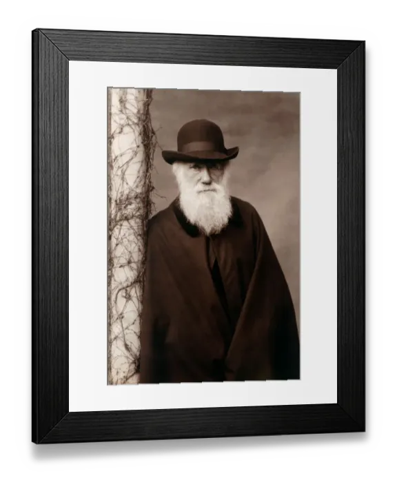 Framed Print : Charles Darwin K970214