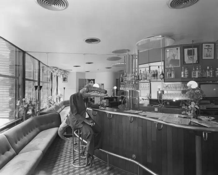 Framed Print : Alligator in a bar, Zanzibar, 30 Great Queen Street DD001716