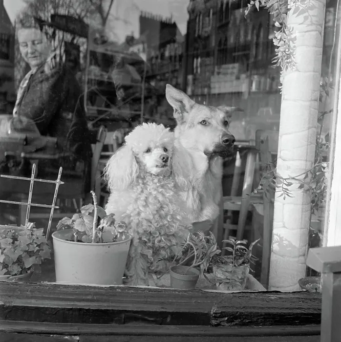 Framed Print : Cafe Window. AA071614