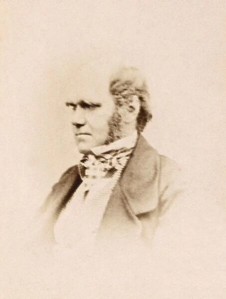 Charles Darwin K970235