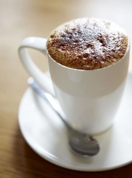 Coffee N100342. Mug of cappuccino coffee