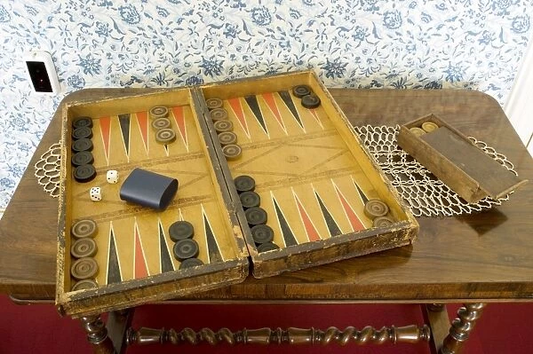 The Darwins Backgammon board game N080515