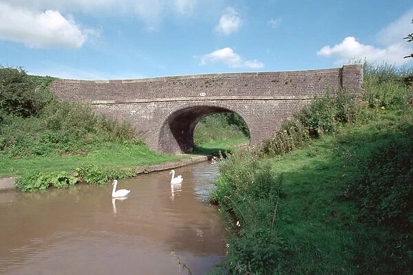 Eardswick Bridge. Accommodatiion bridge on the Middlewick Branch Canal at SJ 670 599