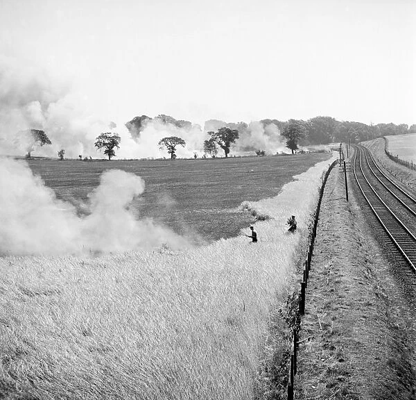 Fields on fire, Norfolk AA98_11587