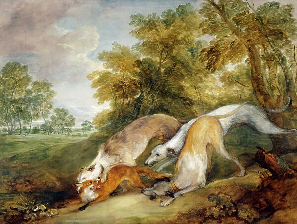 Gainsborough - Greyhounds coursing a Fox J920623