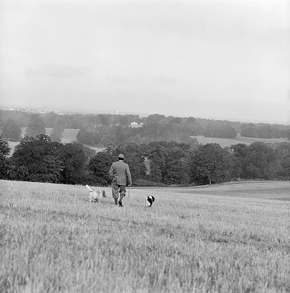 Gamekeeper a067099. A rural landscape near Basingstoke, Hampshire
