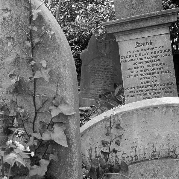 Gravestones, Highgate Cemetery a073399