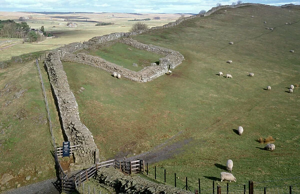 Hadrians Wall, Cawfields, Milecastle 42 K960046