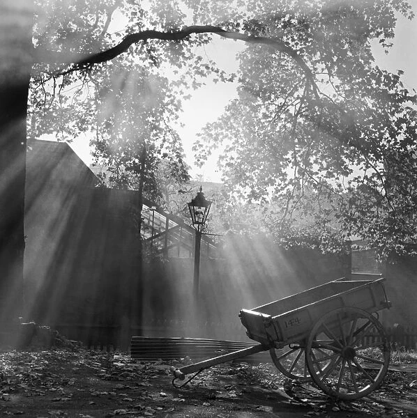 Hand cart a064786. Diffused light filtering down onto an empty cart standing