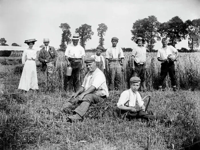Framed Print : Harvest time, Lower Cadsden, Buckinghamshire a97_05316