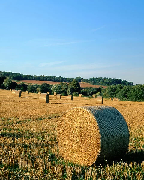 Haywheels J070054. KENT COUNTRYSIDE, View of hay bails  /  haywheels in a