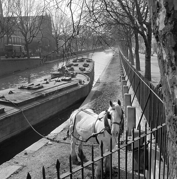 Horse and canal barge AA064520